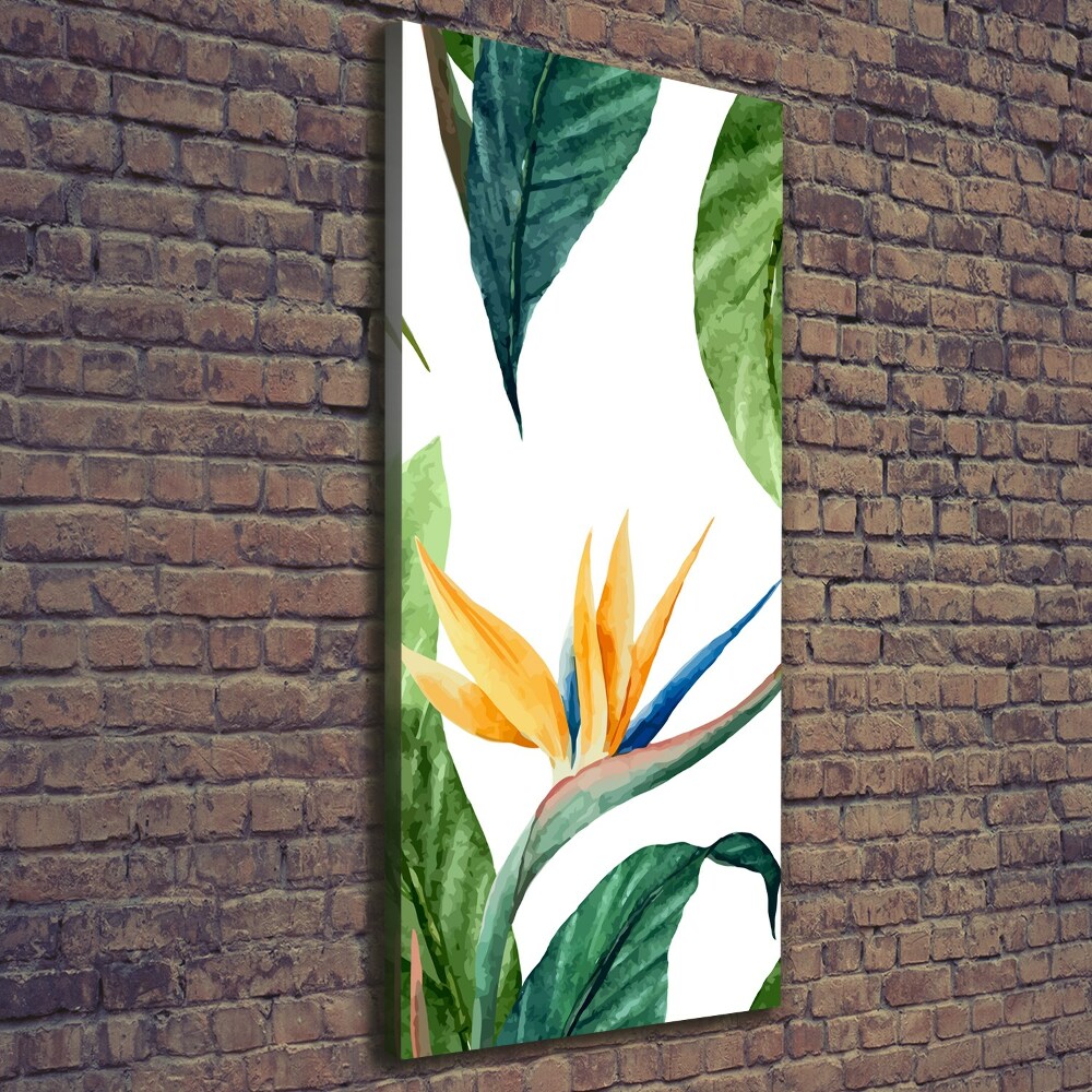 Tableau mural sur toile Strelitzia royal