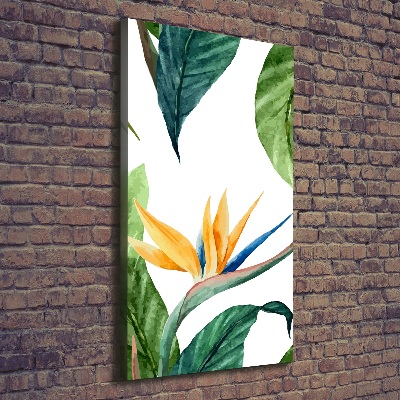 Tableau mural sur toile Strelitzia royal