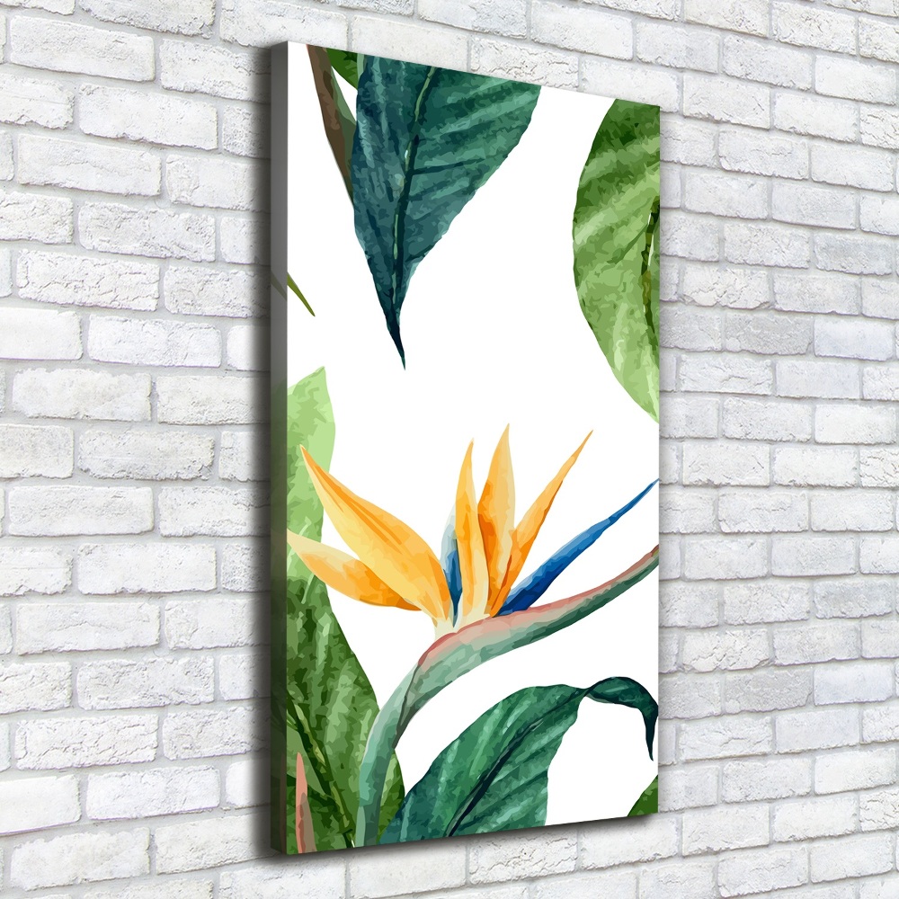 Tableau mural sur toile Strelitzia royal