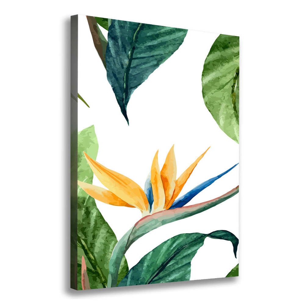 Tableau mural sur toile Strelitzia royal