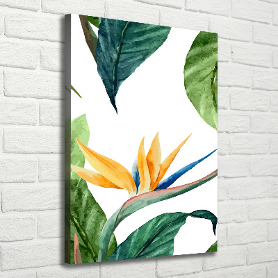 Tableau mural sur toile Strelitzia royal