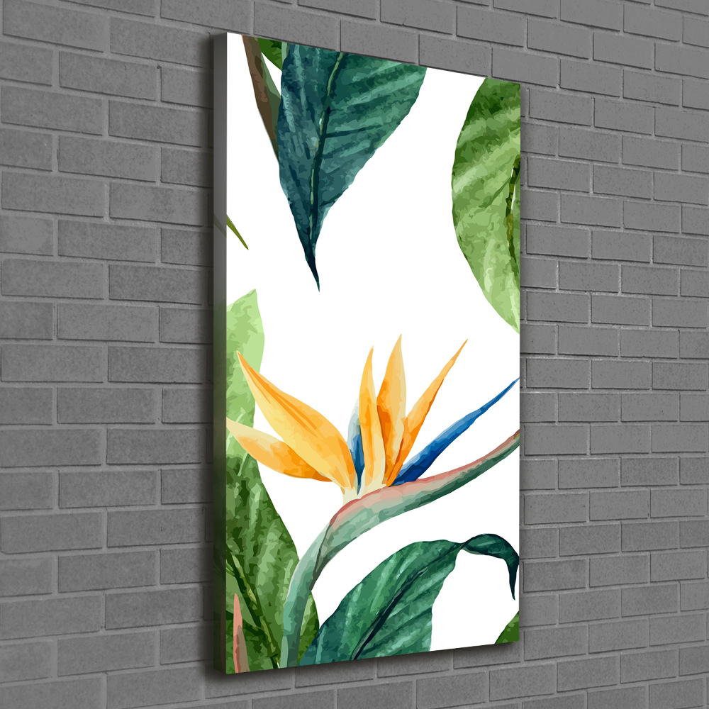 Tableau mural sur toile Strelitzia royal