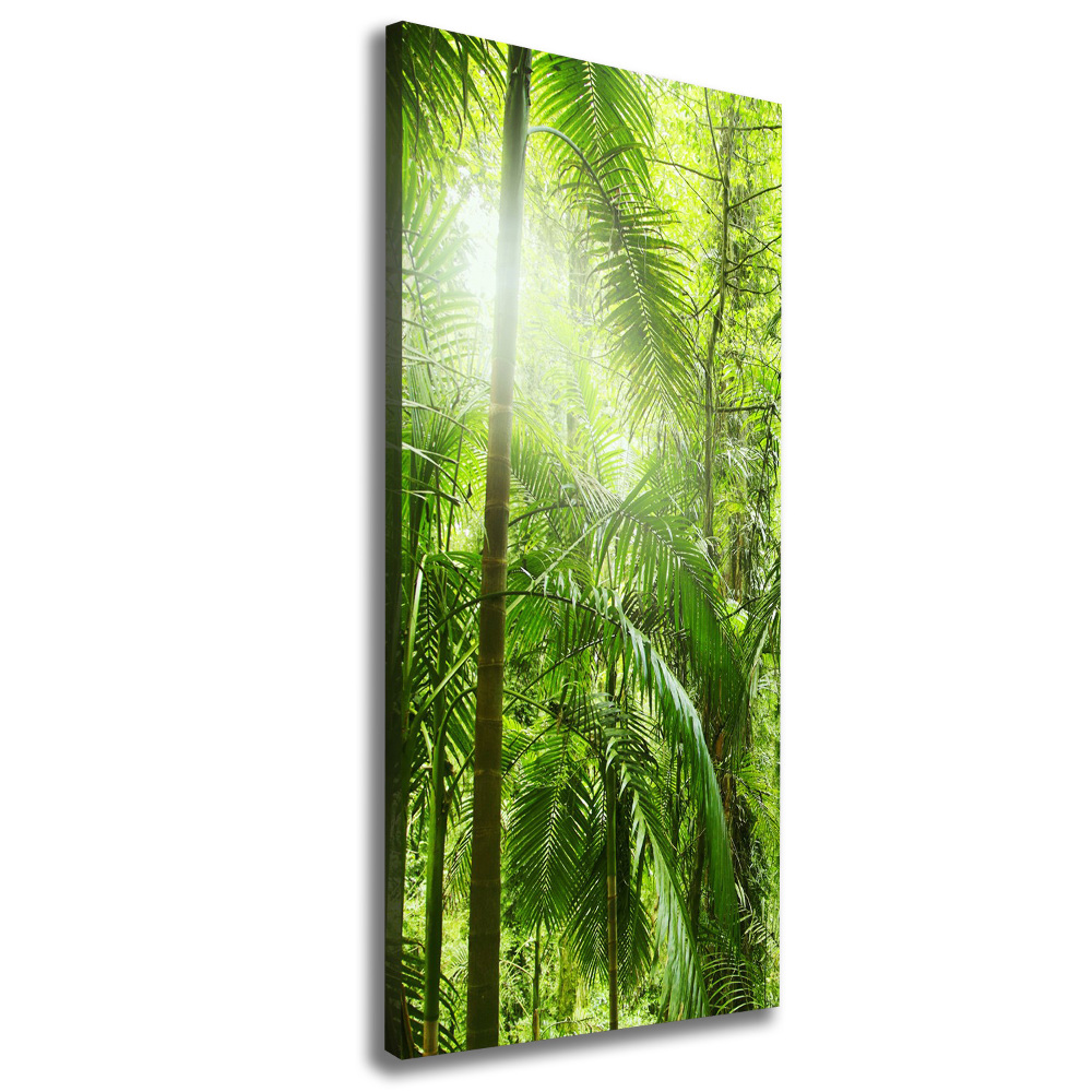 Tableau sur toile Forêt tropicale