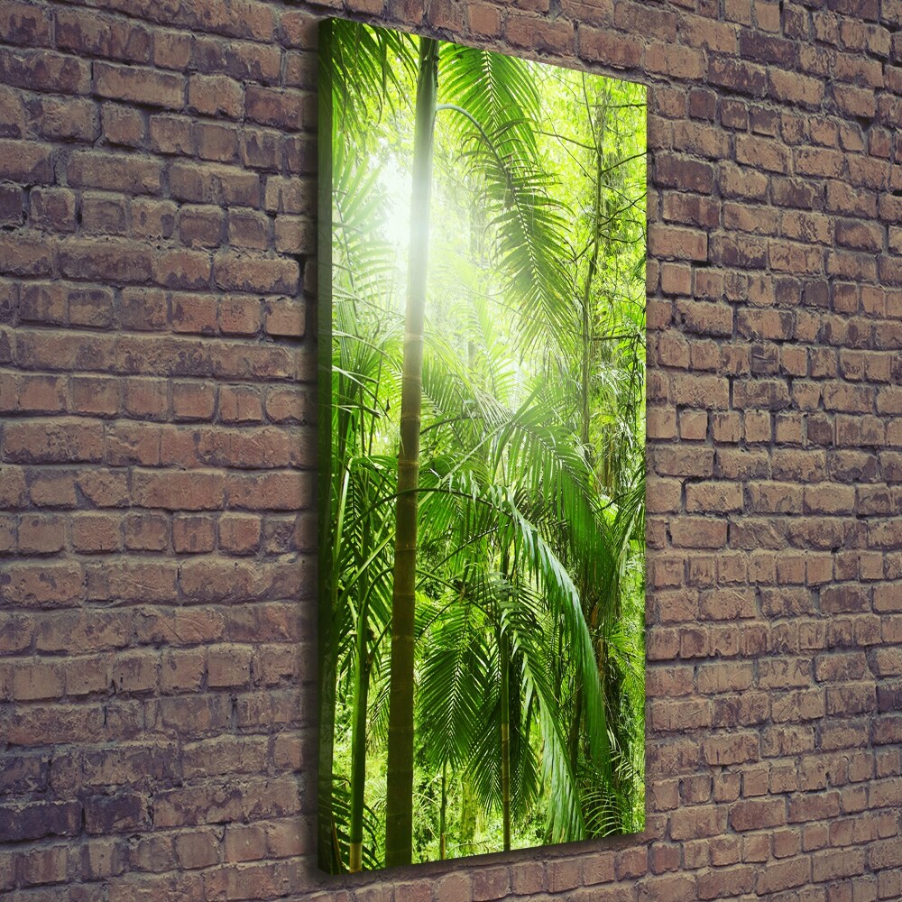 Tableau sur toile Forêt tropicale