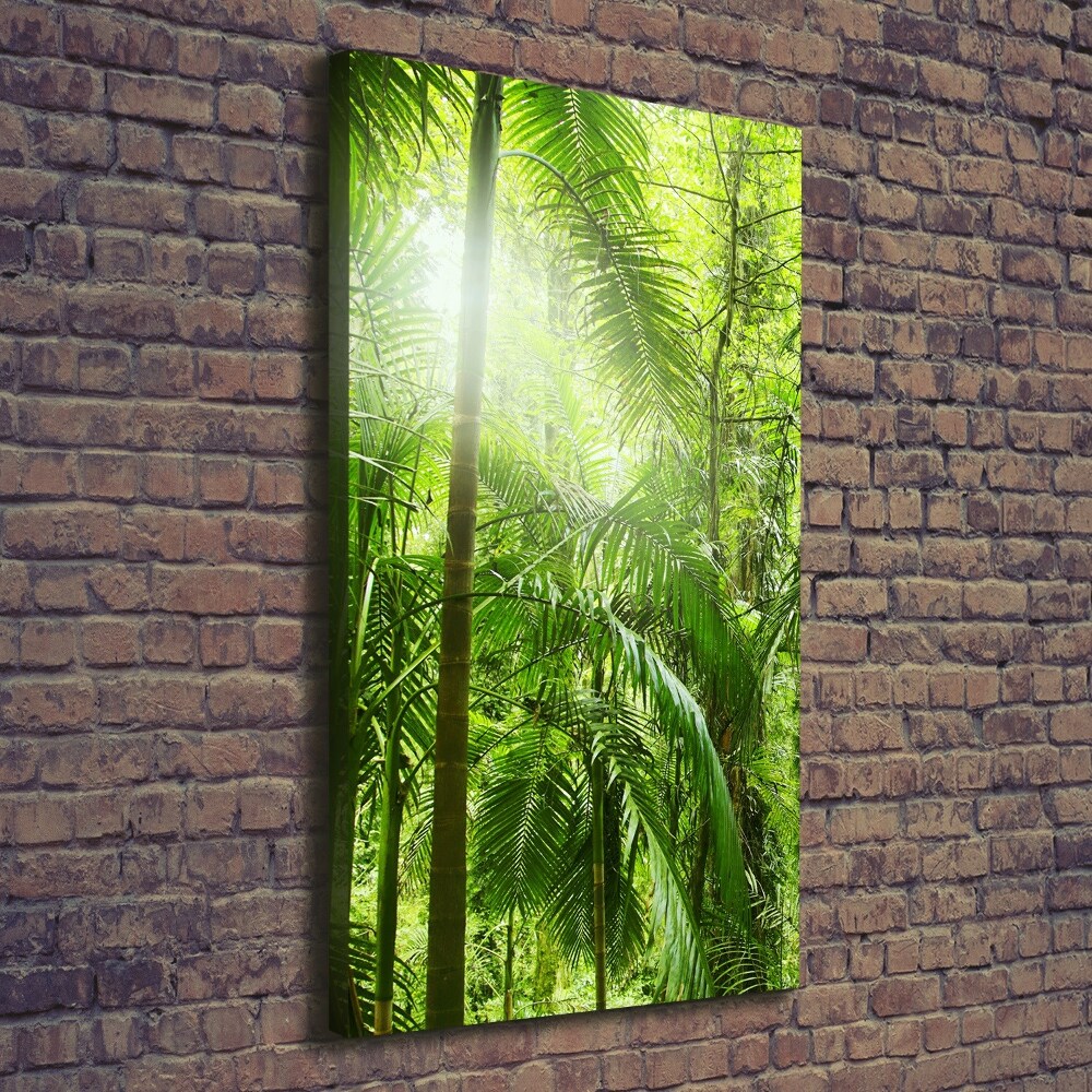 Tableau sur toile Forêt tropicale