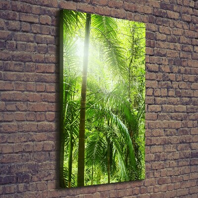 Tableau sur toile Forêt tropicale