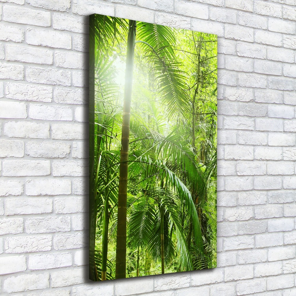 Tableau sur toile Forêt tropicale