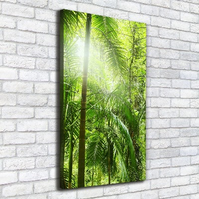 Tableau sur toile Forêt tropicale