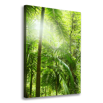 Tableau sur toile Forêt tropicale