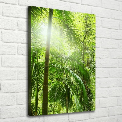 Tableau sur toile Forêt tropicale