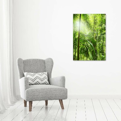 Tableau sur toile Forêt tropicale