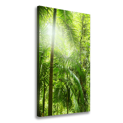 Tableau sur toile Forêt tropicale