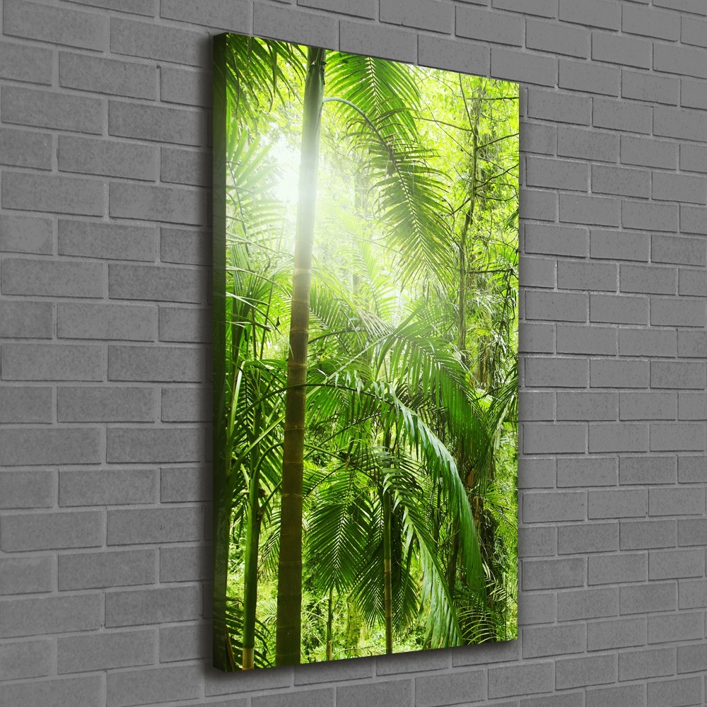 Tableau sur toile Forêt tropicale