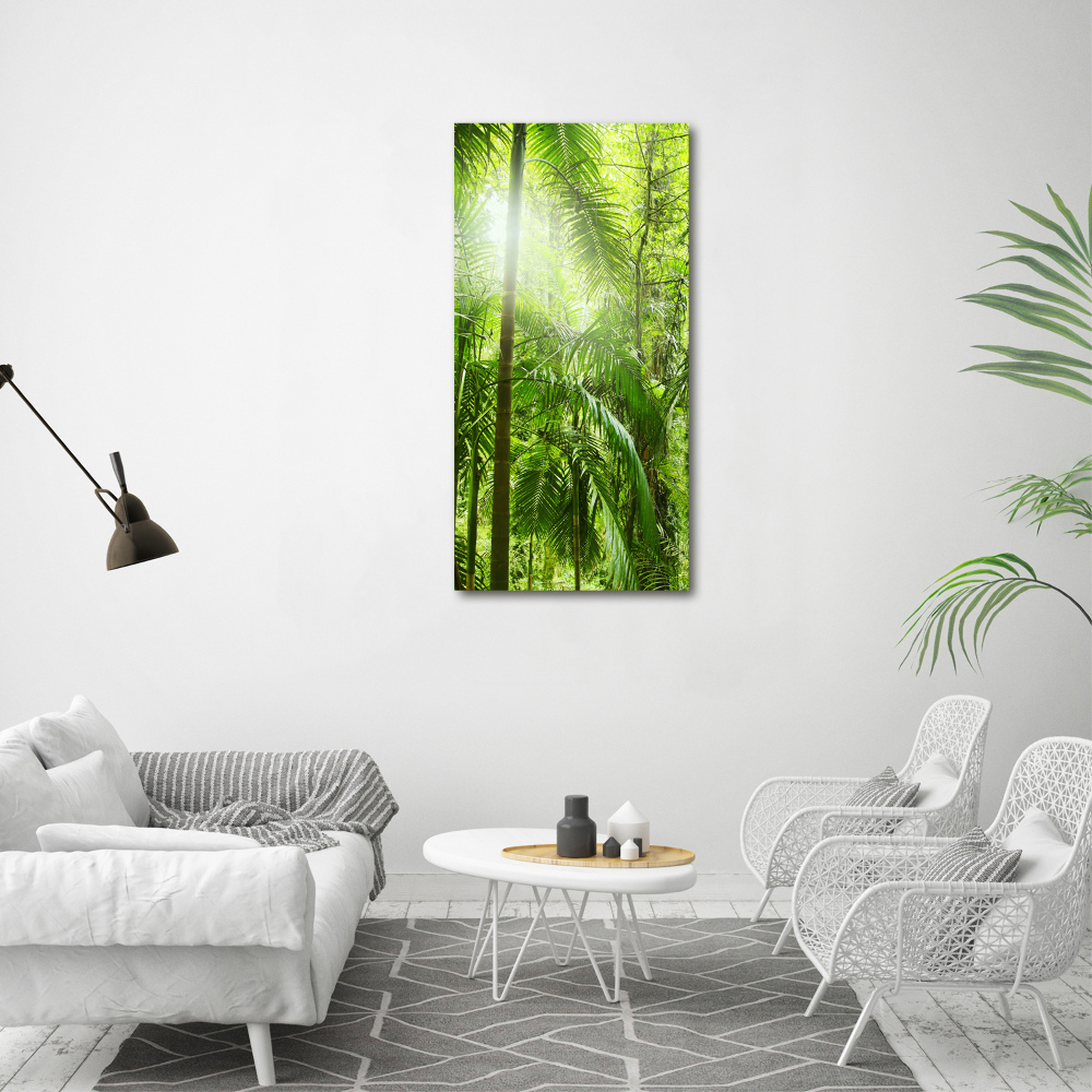 Tableau sur toile Forêt tropicale