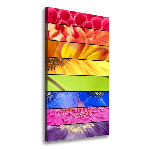 Fleurs colorées