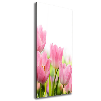 Tableau photo sur toile Tulipes roses