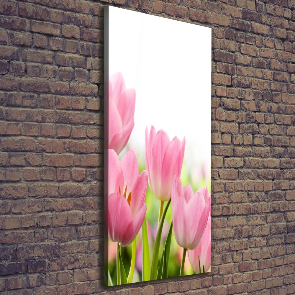 Tableau photo sur toile Tulipes roses