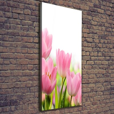 Tableau photo sur toile Tulipes roses