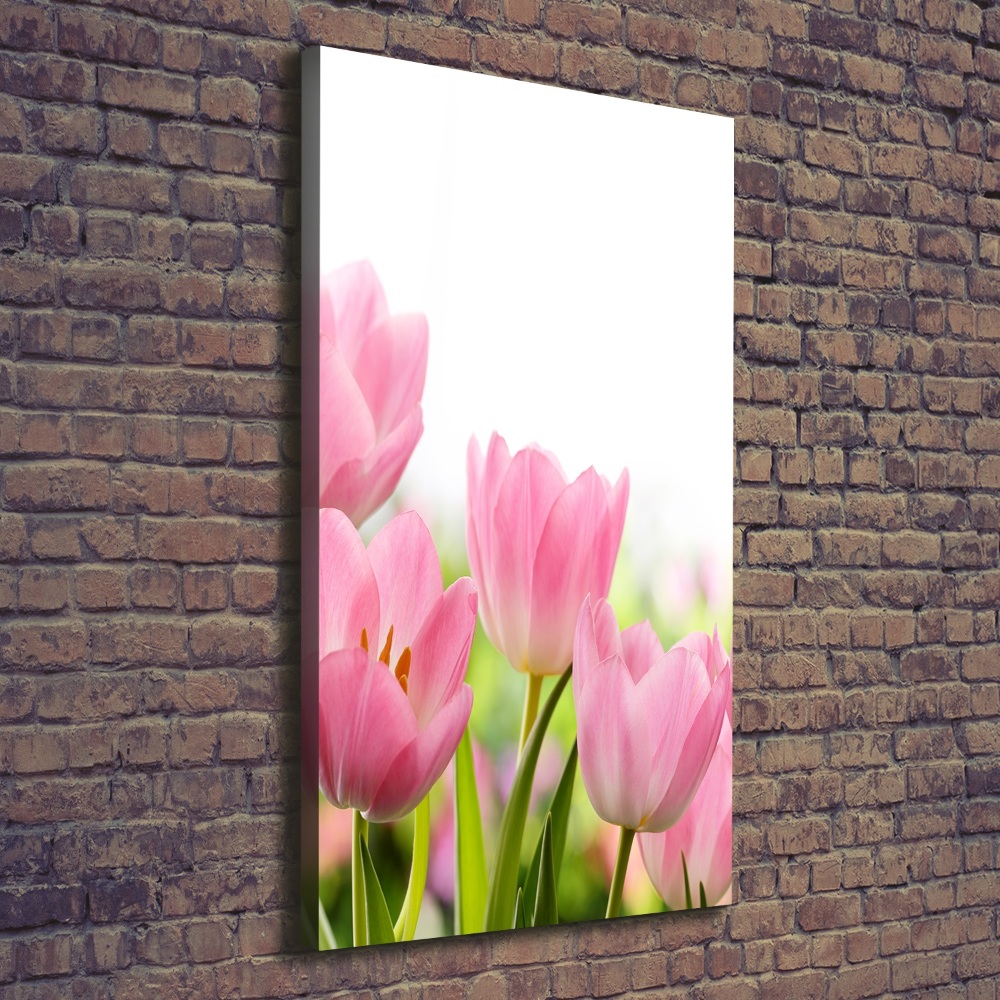 Tableau photo sur toile Tulipes roses