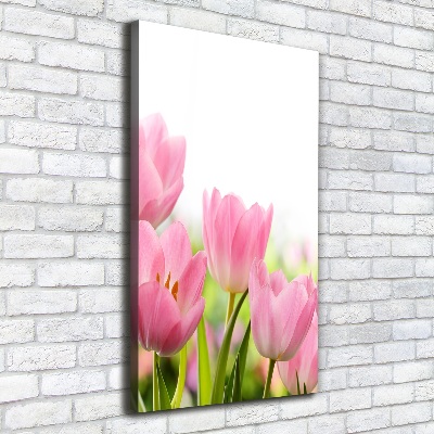 Tableau photo sur toile Tulipes roses