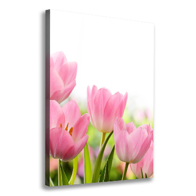 Tableau photo sur toile Tulipes roses