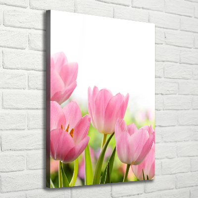 Tableau photo sur toile Tulipes roses