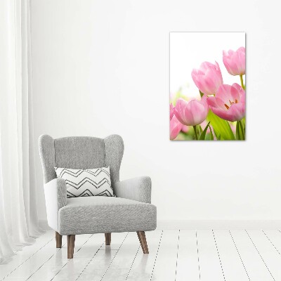 Tableau photo sur toile Tulipes roses