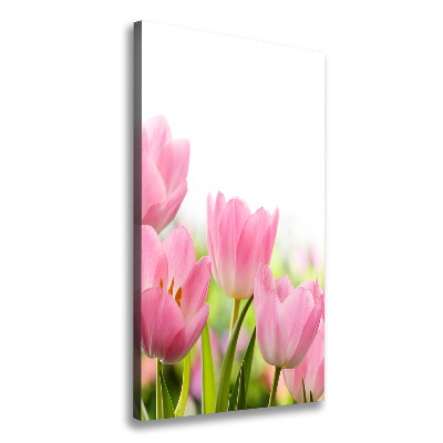 Tableau photo sur toile Tulipes roses