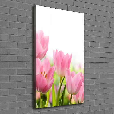 Tableau photo sur toile Tulipes roses