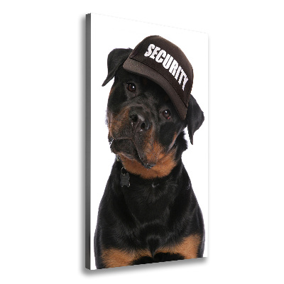 Tableau mural sur toile Rottweiler en casquette