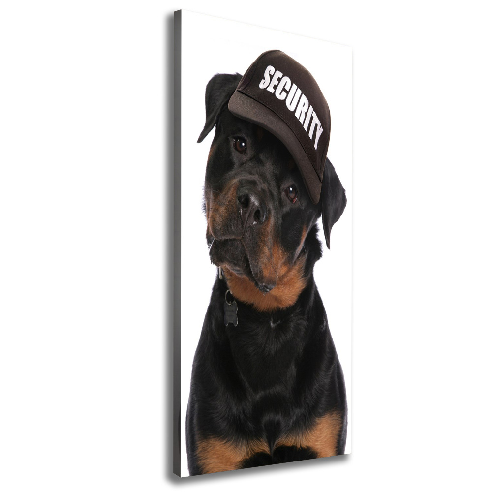 Tableau mural sur toile Rottweiler en casquette