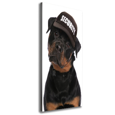 Tableau mural sur toile Rottweiler en casquette