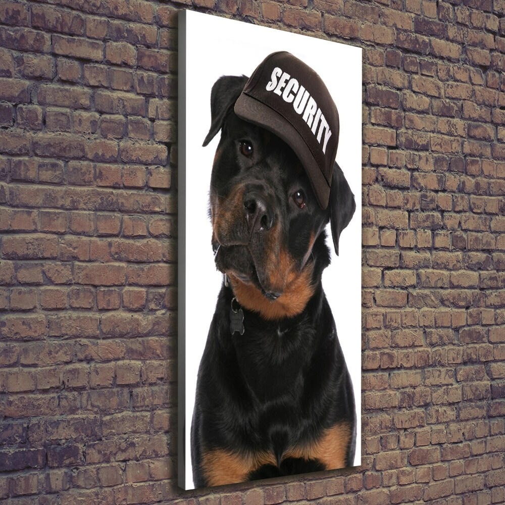 Tableau mural sur toile Rottweiler en casquette