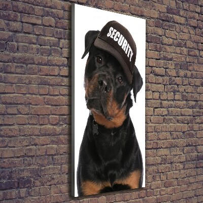 Tableau mural sur toile Rottweiler en casquette