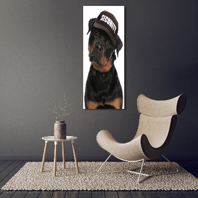 Tableau mural sur toile Rottweiler en casquette