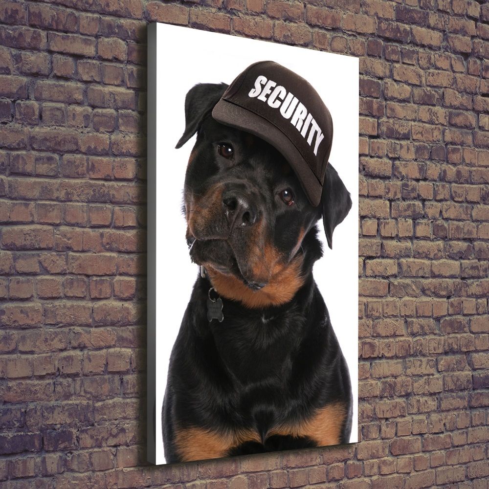 Tableau mural sur toile Rottweiler en casquette