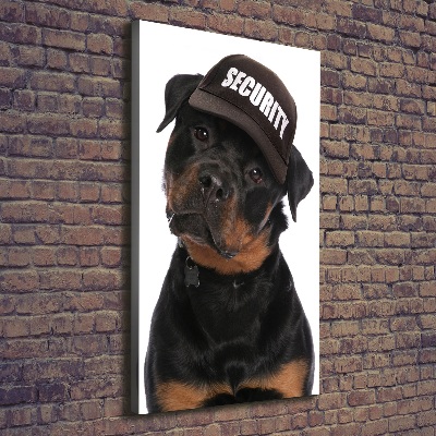 Tableau mural sur toile Rottweiler en casquette