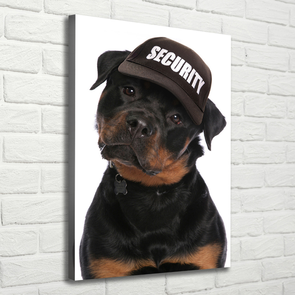 Tableau mural sur toile Rottweiler en casquette