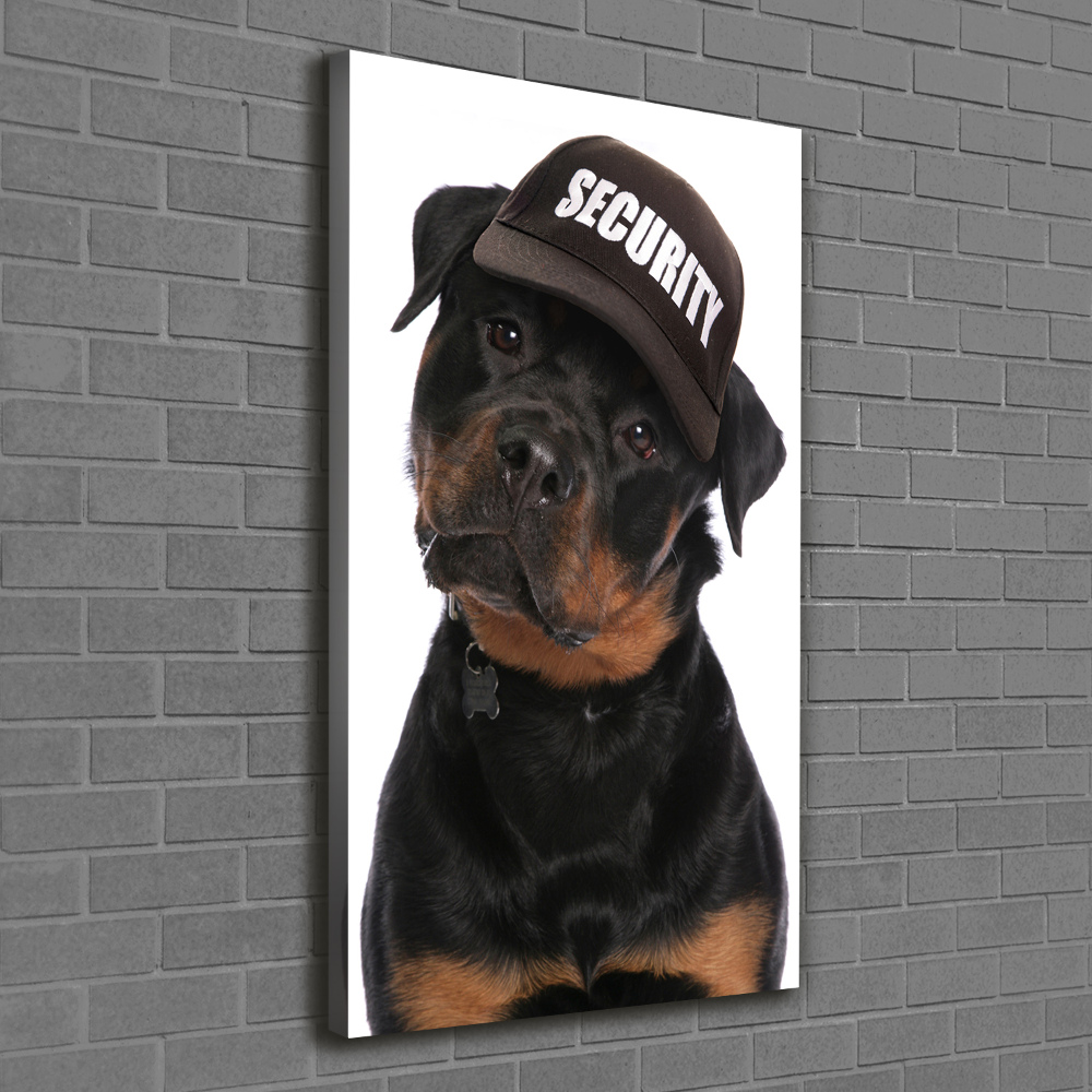 Tableau mural sur toile Rottweiler en casquette