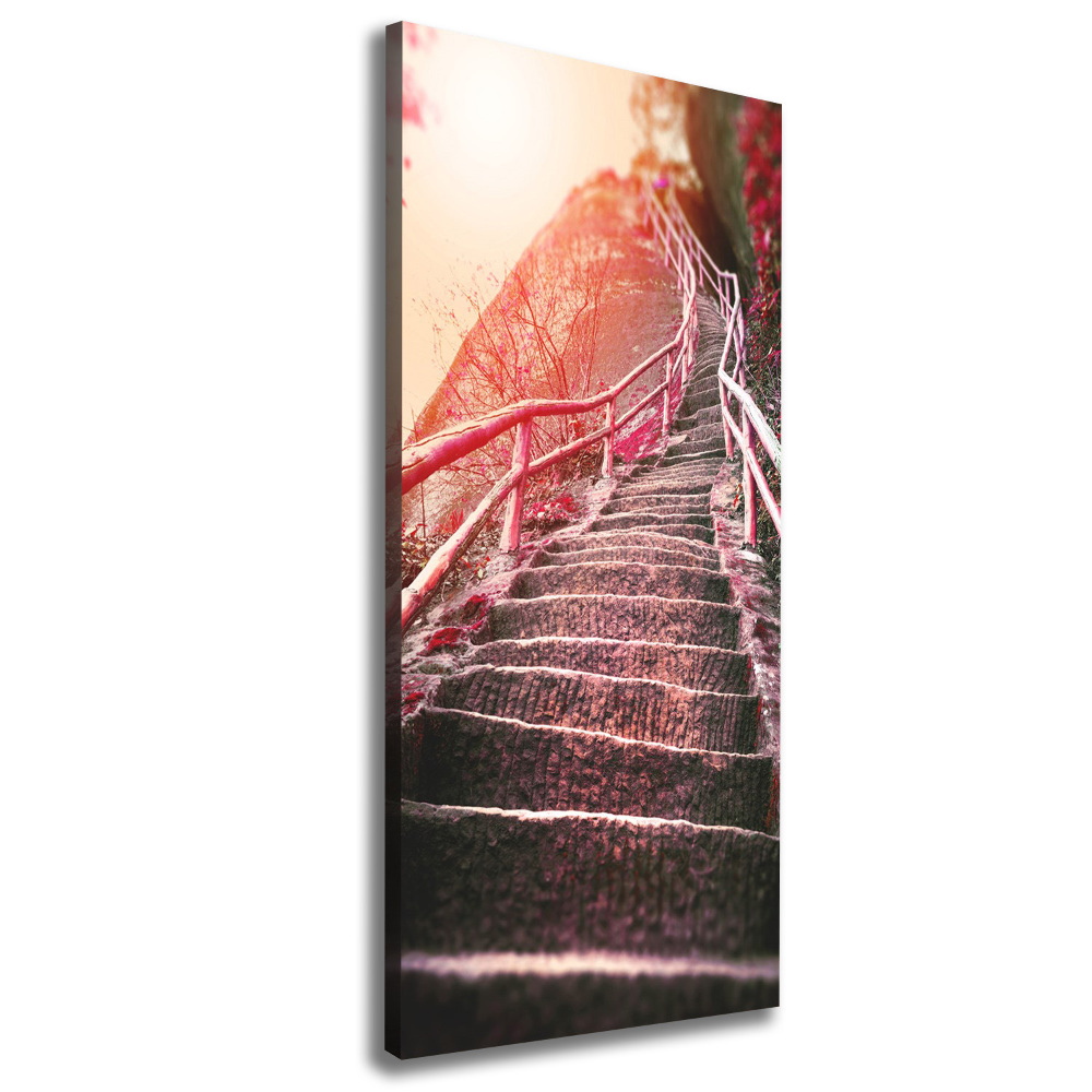 Tableau mural sur toile Escalier en montagne