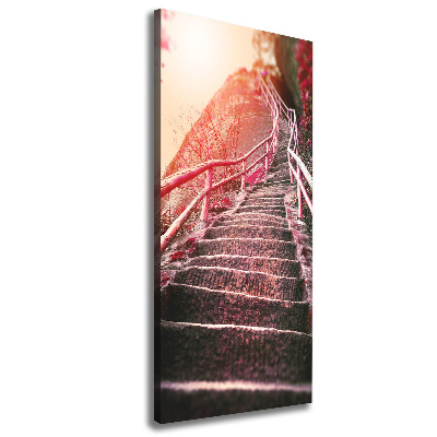 Tableau mural sur toile Escalier en montagne