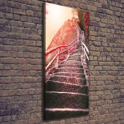 Tableau mural sur toile Escalier en montagne