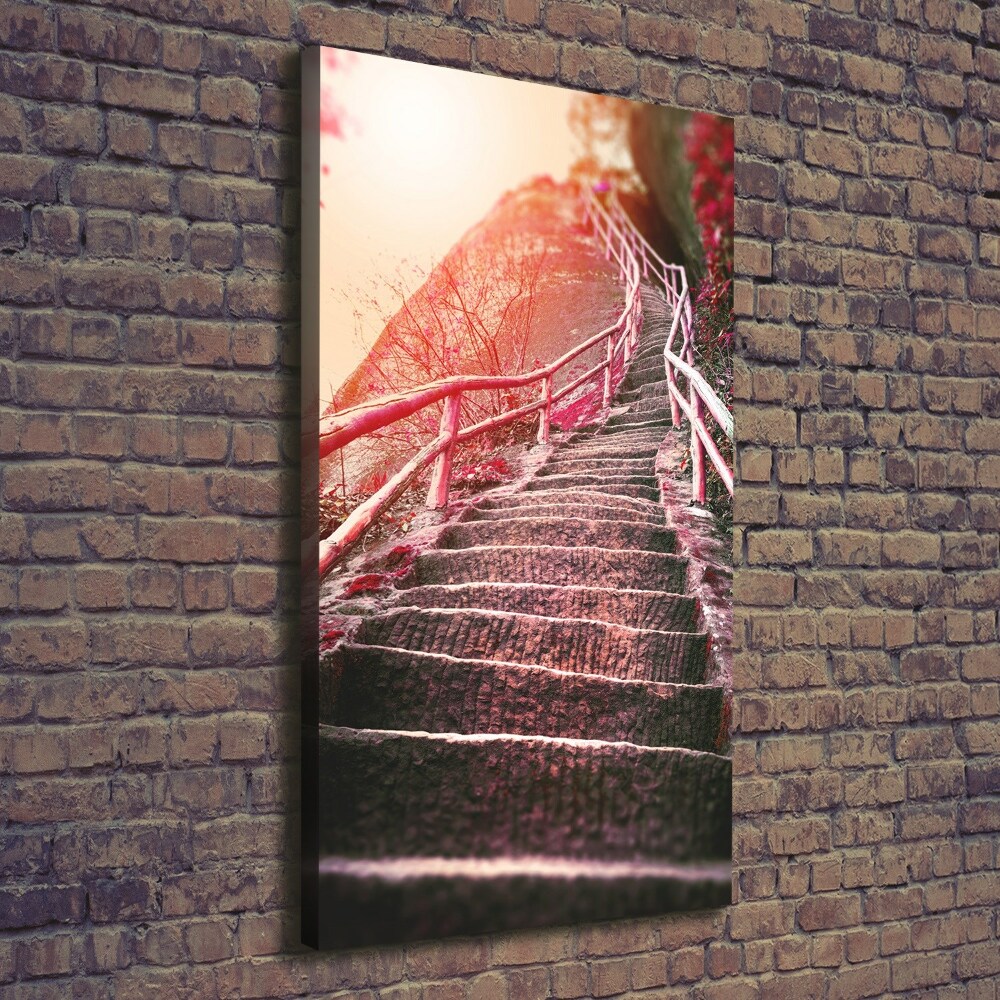 Tableau mural sur toile Escalier en montagne