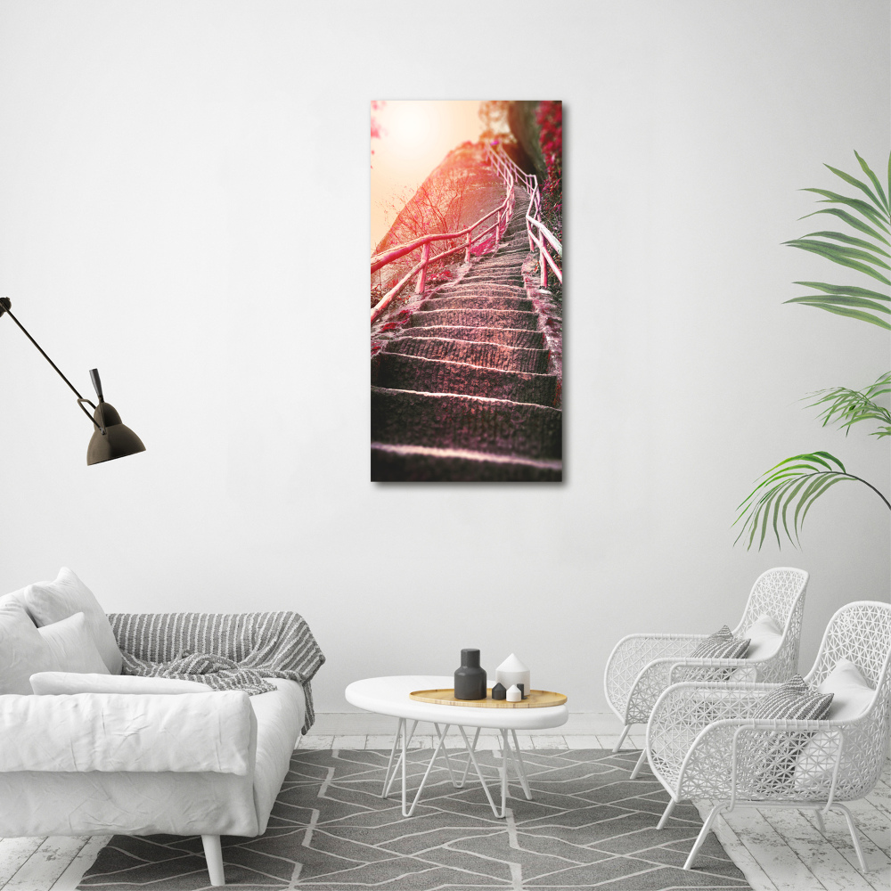 Tableau mural sur toile Escalier en montagne