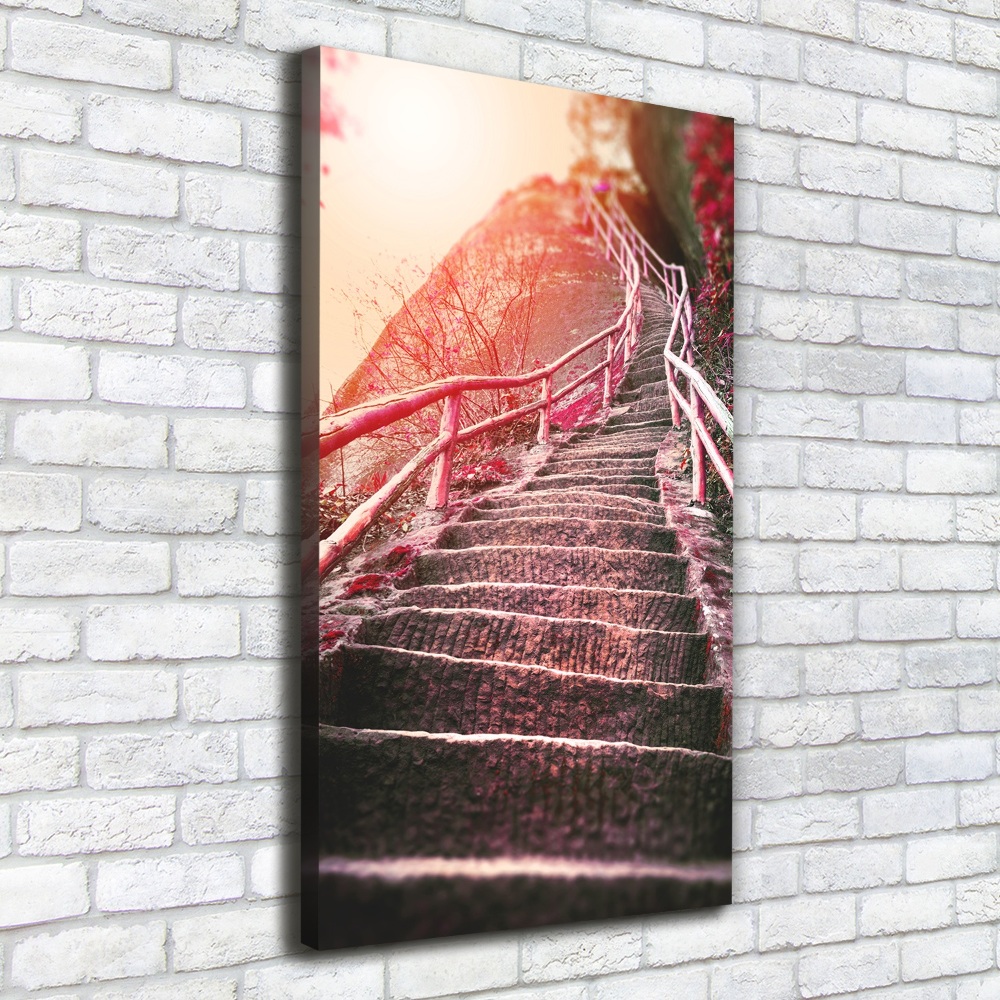 Tableau mural sur toile Escalier en montagne