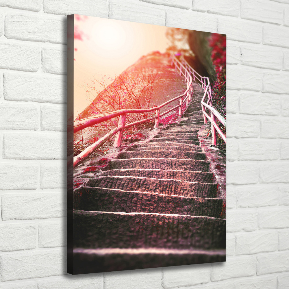 Tableau mural sur toile Escalier en montagne