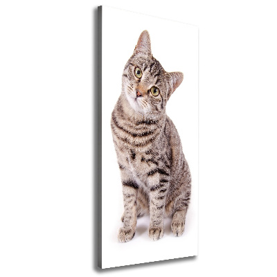 Tableau photo sur toile chaton