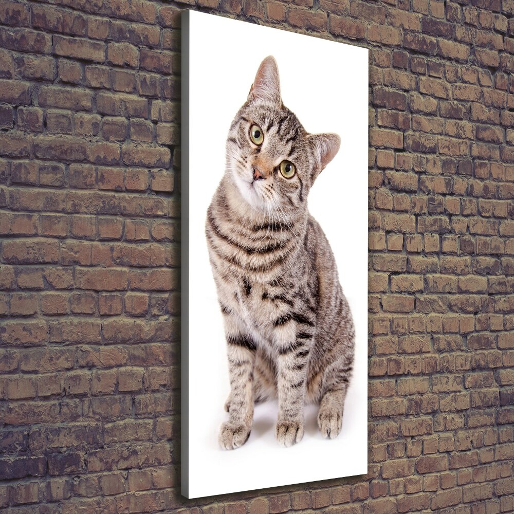 Tableau photo sur toile chaton