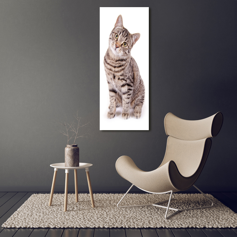 Tableau photo sur toile chaton