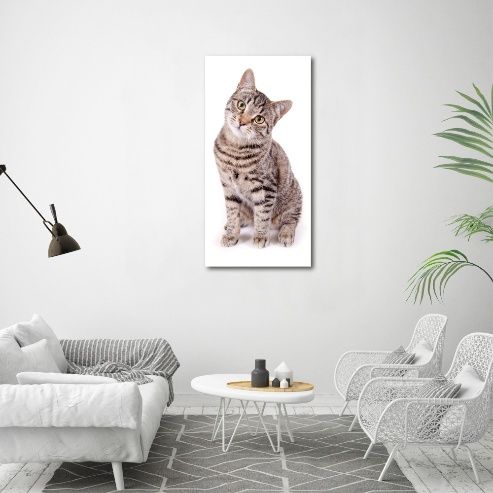 Tableau photo sur toile chaton